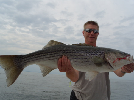 32 lbs Rock Fish