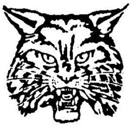 Salina Junior High School Logo Photo Album