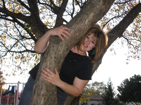 climbing a tree 11/08