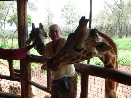 Nairobi Giraffe Centre