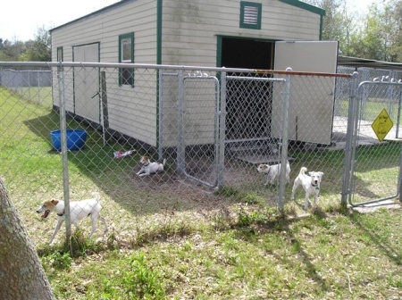 the kennel