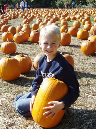 Pumpkin Patch 2008