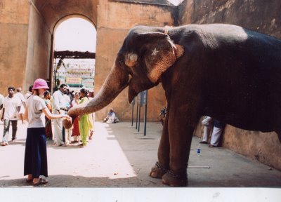 Becki in India