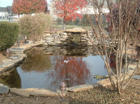 pond november 07 003