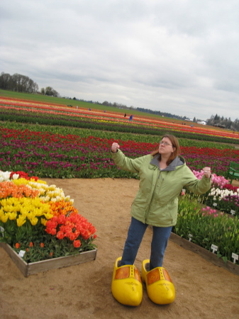 Tulip festival 2008