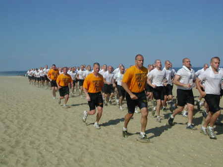 Hard at work on the beach