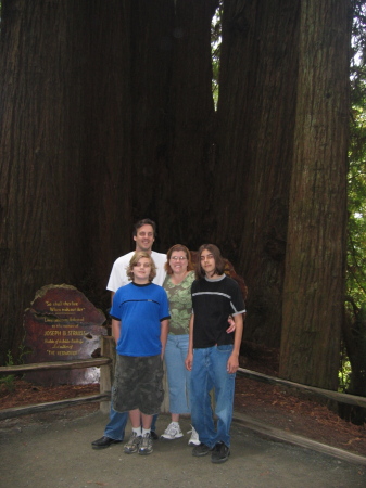 Redwoods 2007