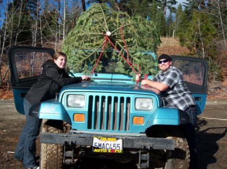 Christmas Tree Hunting