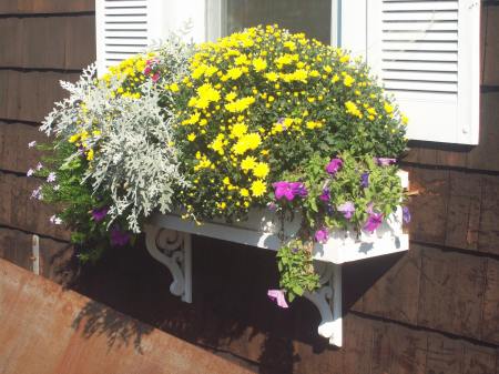 Flower box