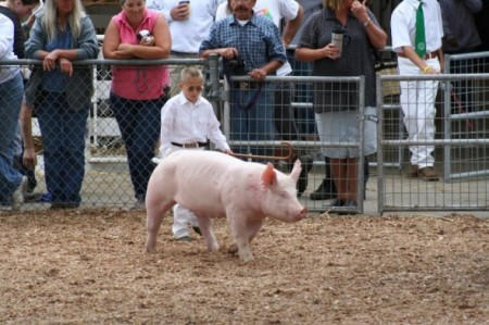 2007 Sonoma County Fair