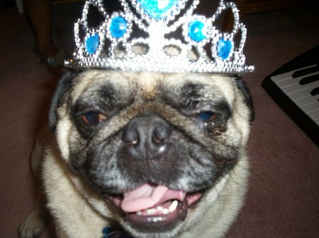 Mr. Vito, such a good princess!