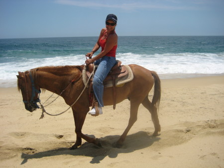 Cabo Horseback riding