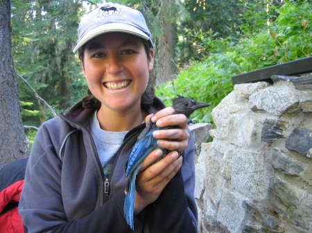 Daughter Tana--birdbanding in Oregon