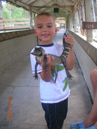 COLTON AND THE GATOR