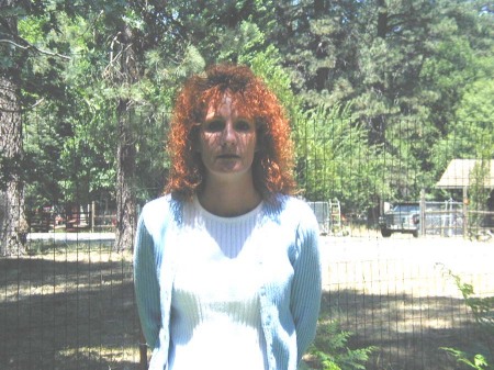 Tracey Donsbach's Classmates® Profile Photo