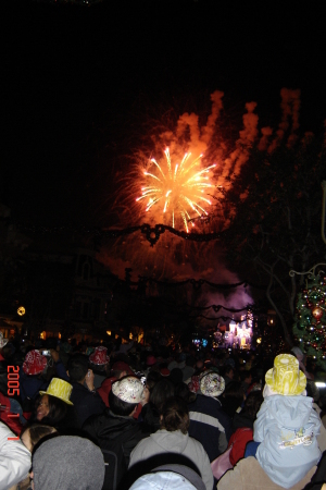 Disneyland New Years Eve 2005!