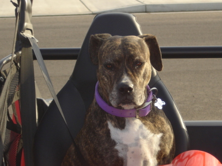 Felicia wants to go for another ride.