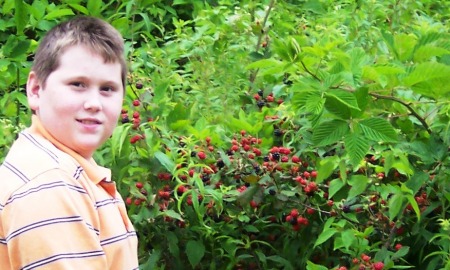 My Son Picking black berries