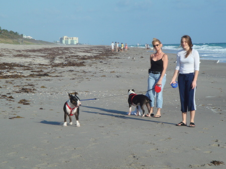 Our daughter Nicole & 2 Bullies at the Beach