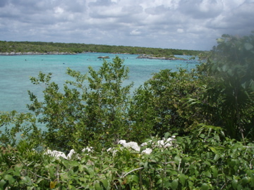 Xel-ha 2008