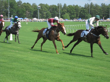 Strawberry Hill Horse Race