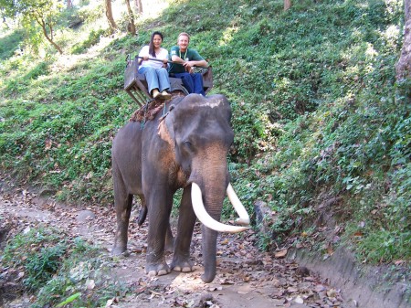 Riding Elephant in Chiang Mai, Thailand