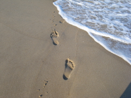 Stefano's footprints in the sand. Ocean City