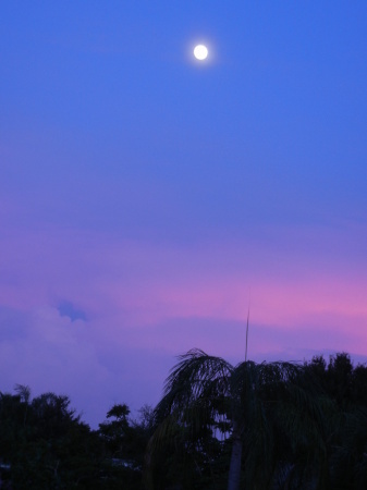 Moon high in the sky at sunset