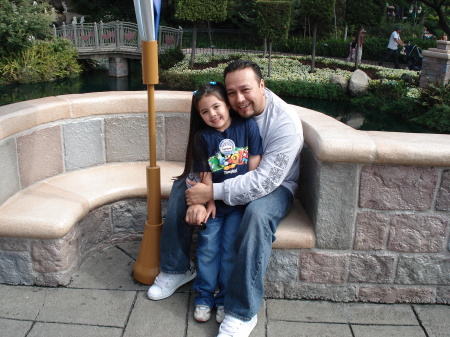 Disneyland 2008