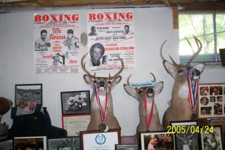 BOXING POSTERS AND PICS.