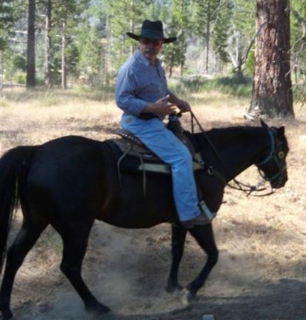 In the Sequoias - R-Ranch