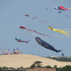 Jockey's Ridge