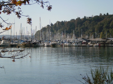 Tyee Marina