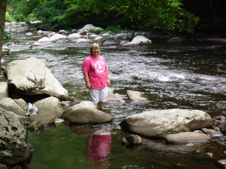 Mountain stream