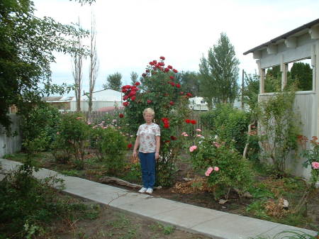 My 'Rose of roses' in front of her roses