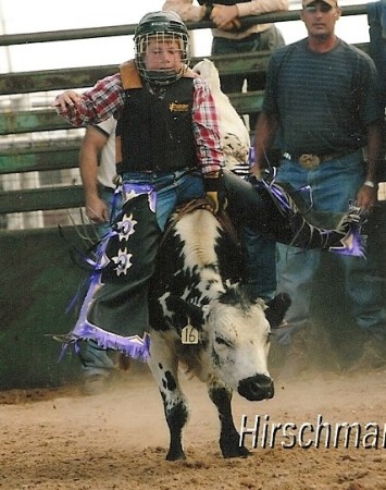 Steer Riding 2