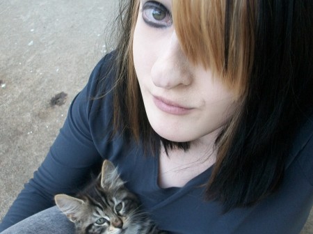 Courteney and Cheshire Kitten