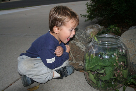 Tommy John and his praying mantis