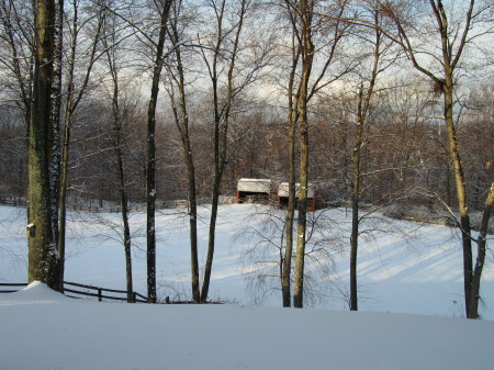 Back field in Feb. 2011