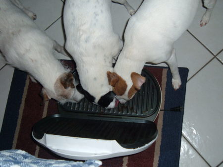 Cleaning the George Foreman Grill.