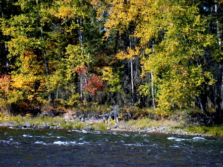 Fall in Bigfork