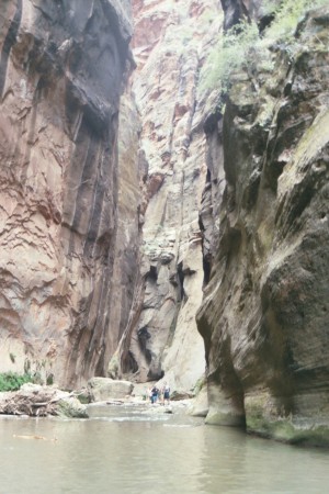 The Narrows. Zion National Park