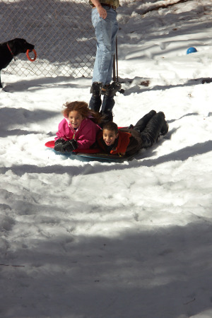 My grandkids sledding in our yard