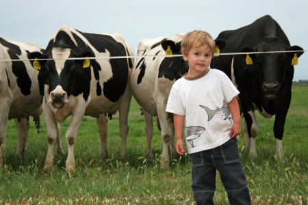 Nate with the cows in the field.