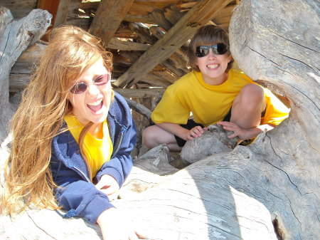 in the driftwood fort