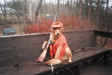 REDNECK HUNTIN DOG