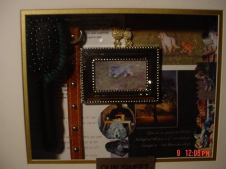 THE CONTENTS OF THE MEMORY BOX