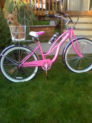 My beach cruiser