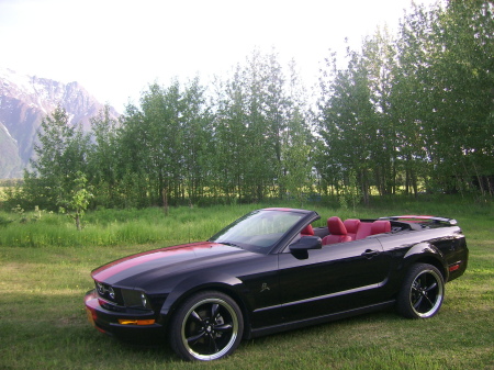 Our Mustang