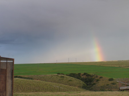 Rainbow - South Africa
